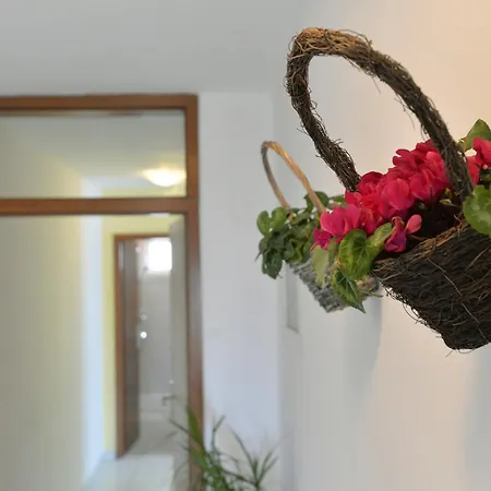 Appartement Kostelic Murter