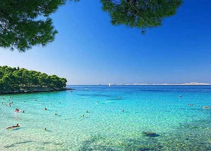 Kostelic Муртер