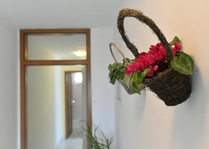 Apartment Kostelic Murter